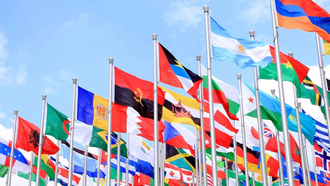 U.N. flags