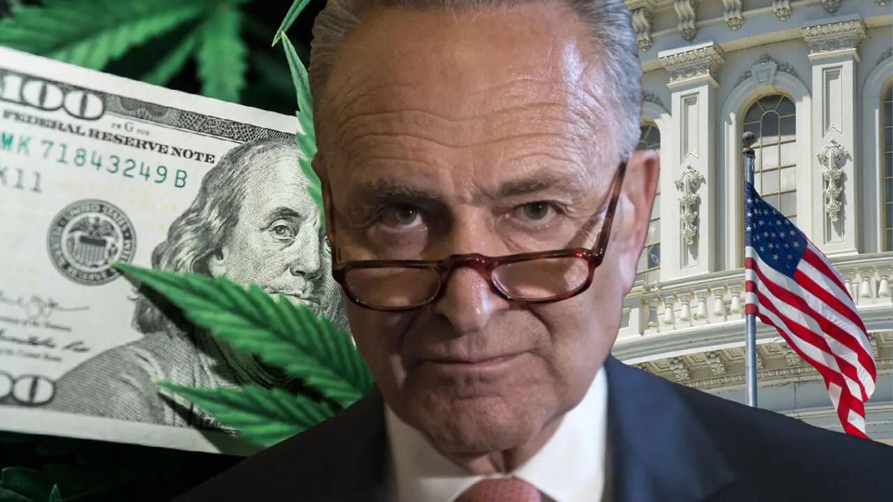 Sen. Schumer