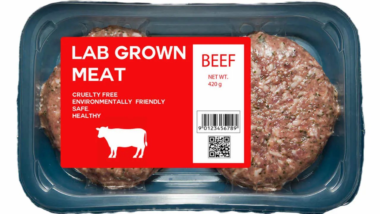 Lab Grown Meat