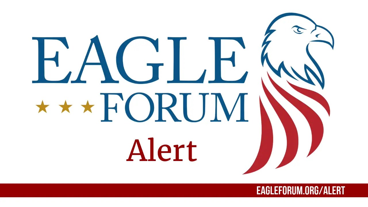 Alert