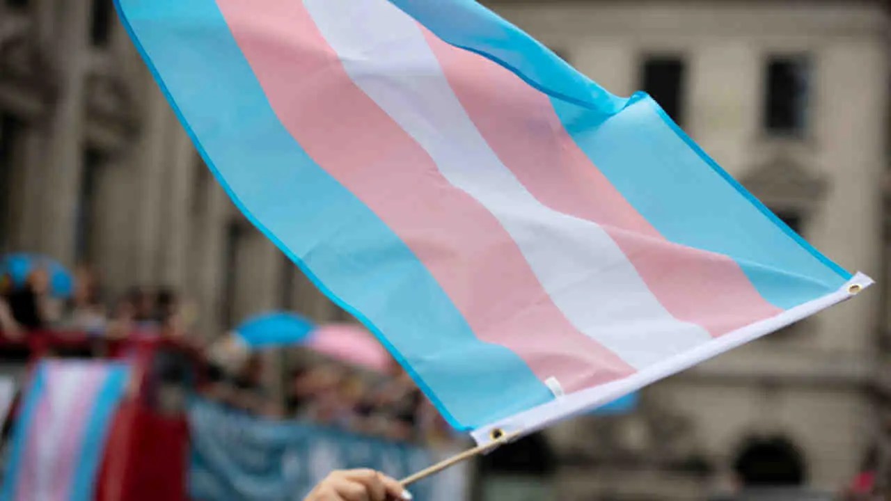 Trans Lobby