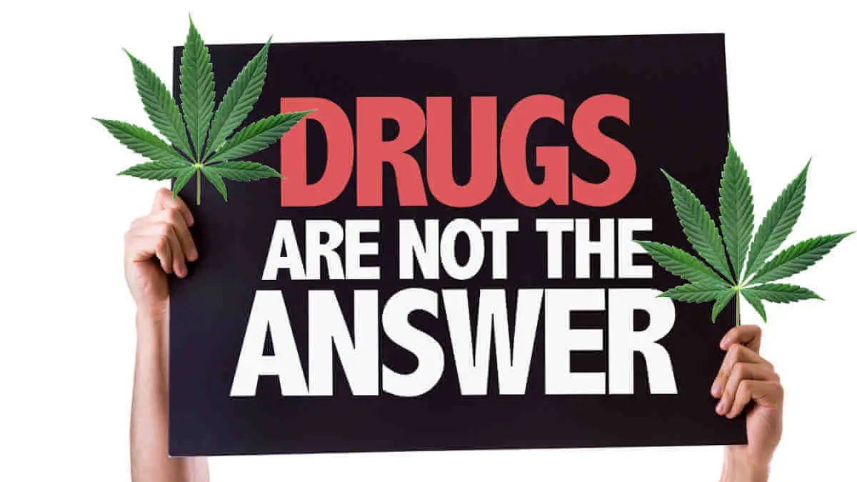 Stop Promoting Pot