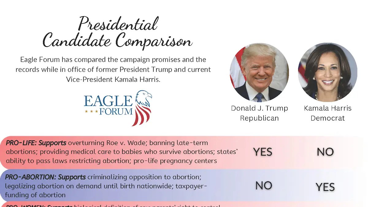 Candidate Comparison