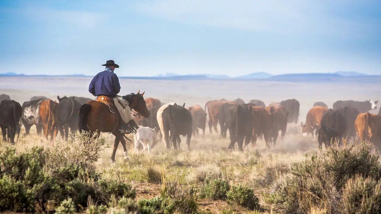 Wyoming