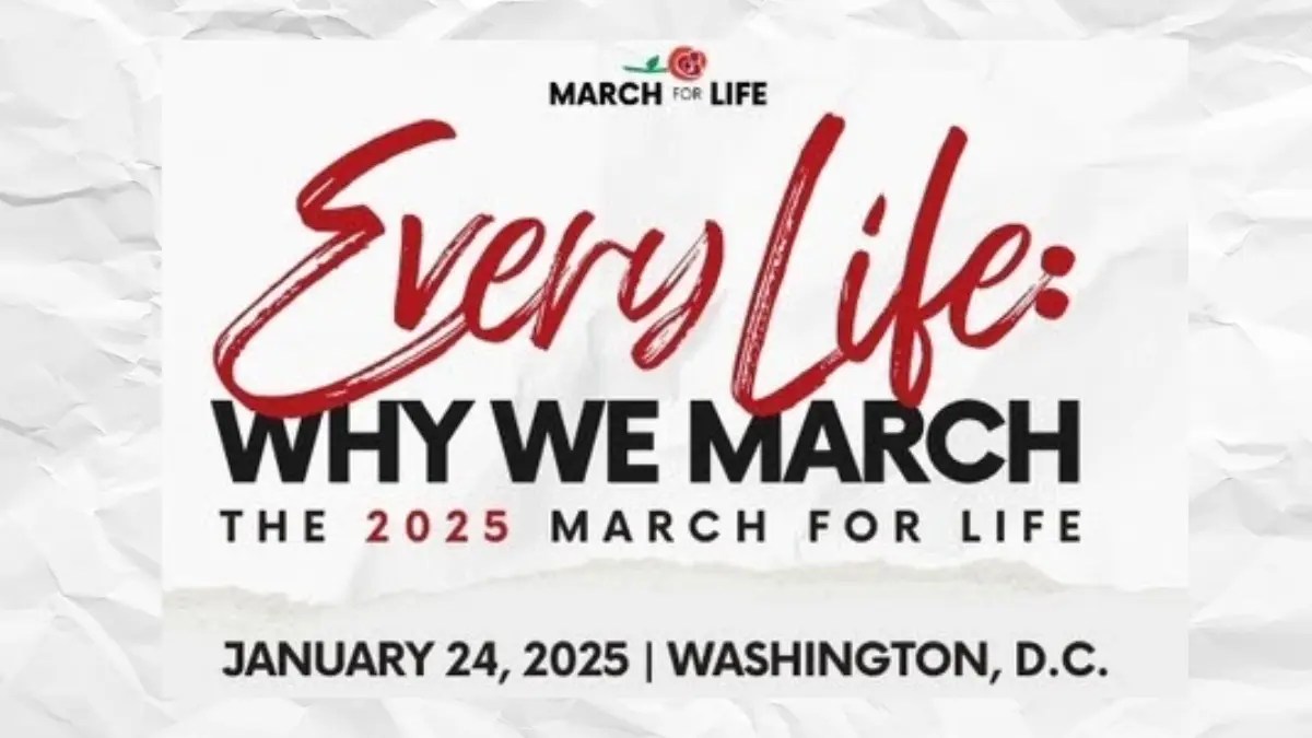 Every Life