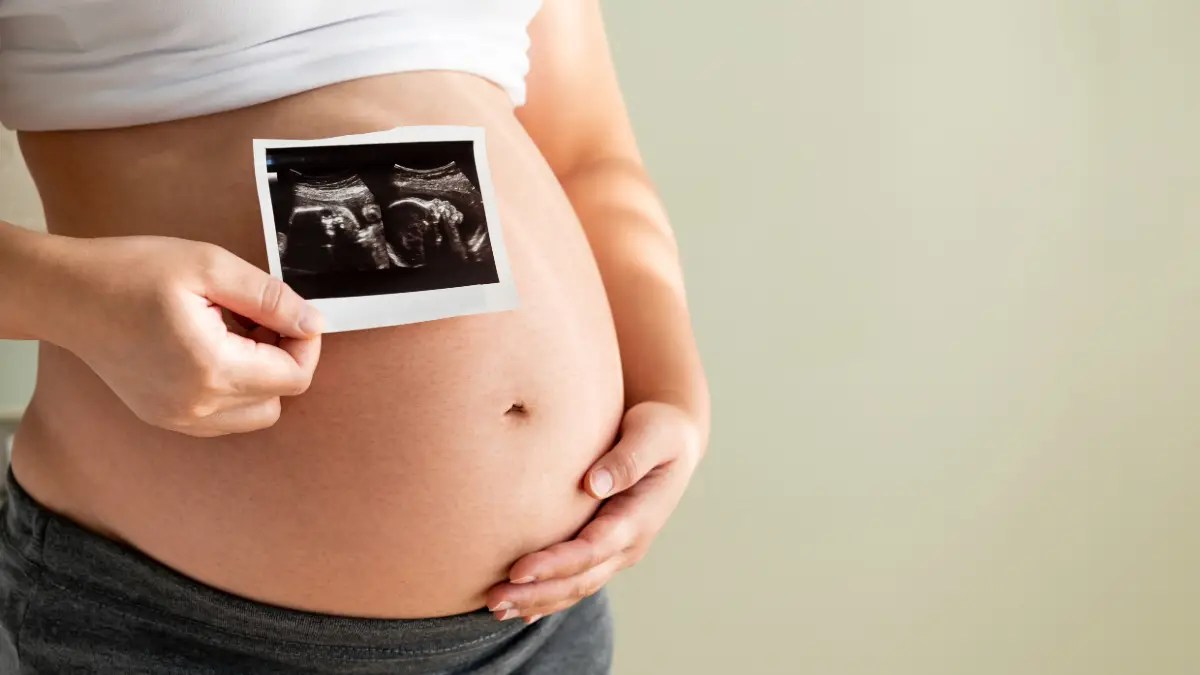 Life / Sonogram
