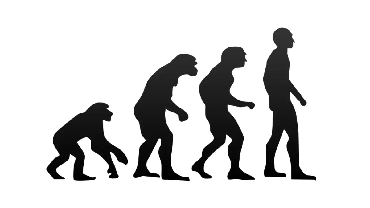 Evolution