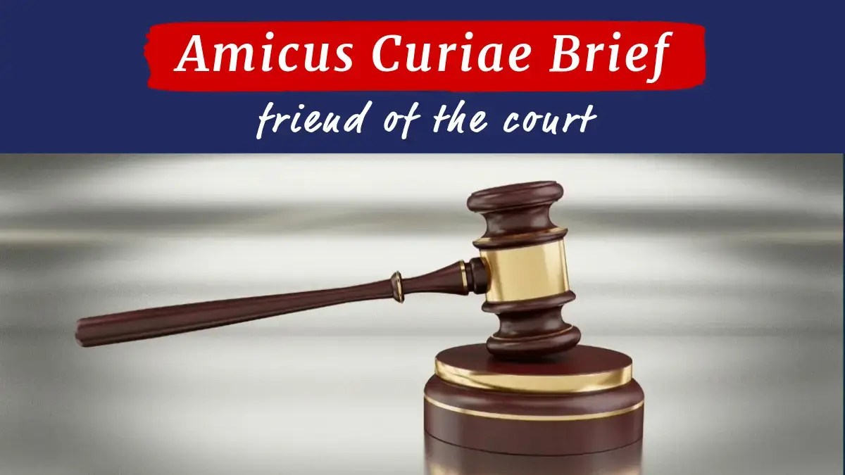 Amicus Briefs