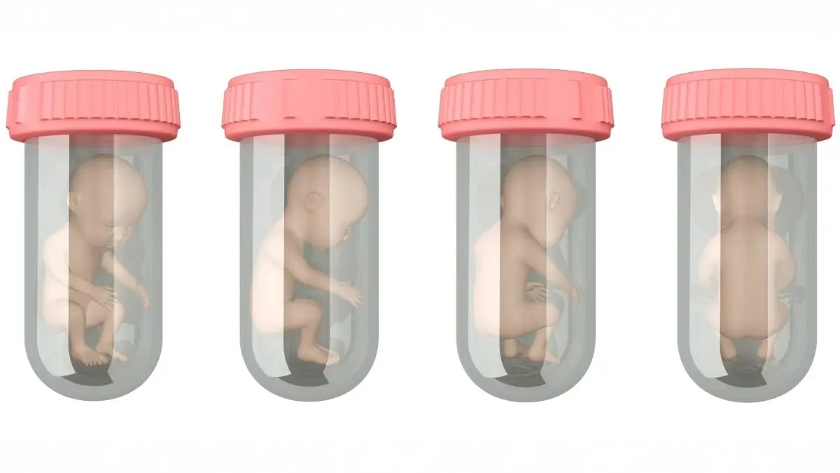 embryos
