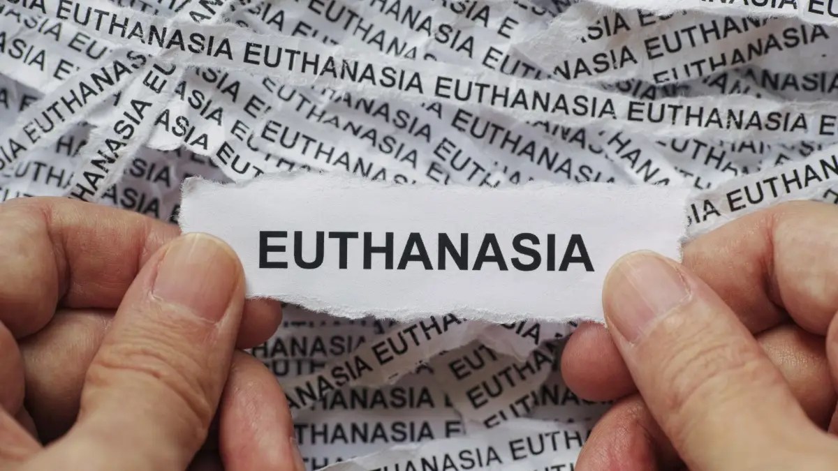 euthanasia
