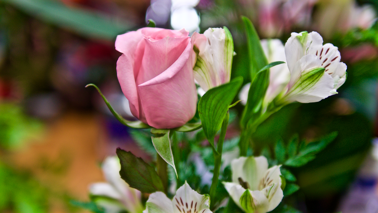 Singles and Wearables