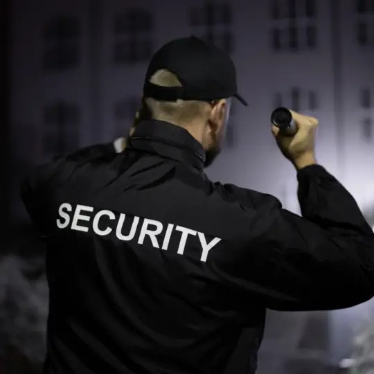Security officer working