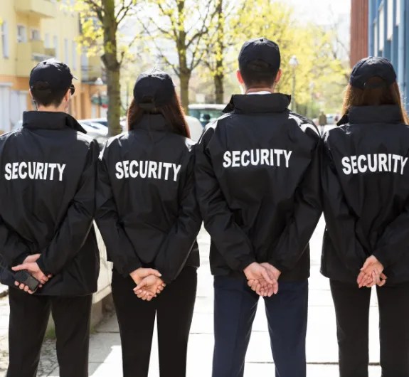 A team of bodyguard services for emergencies.