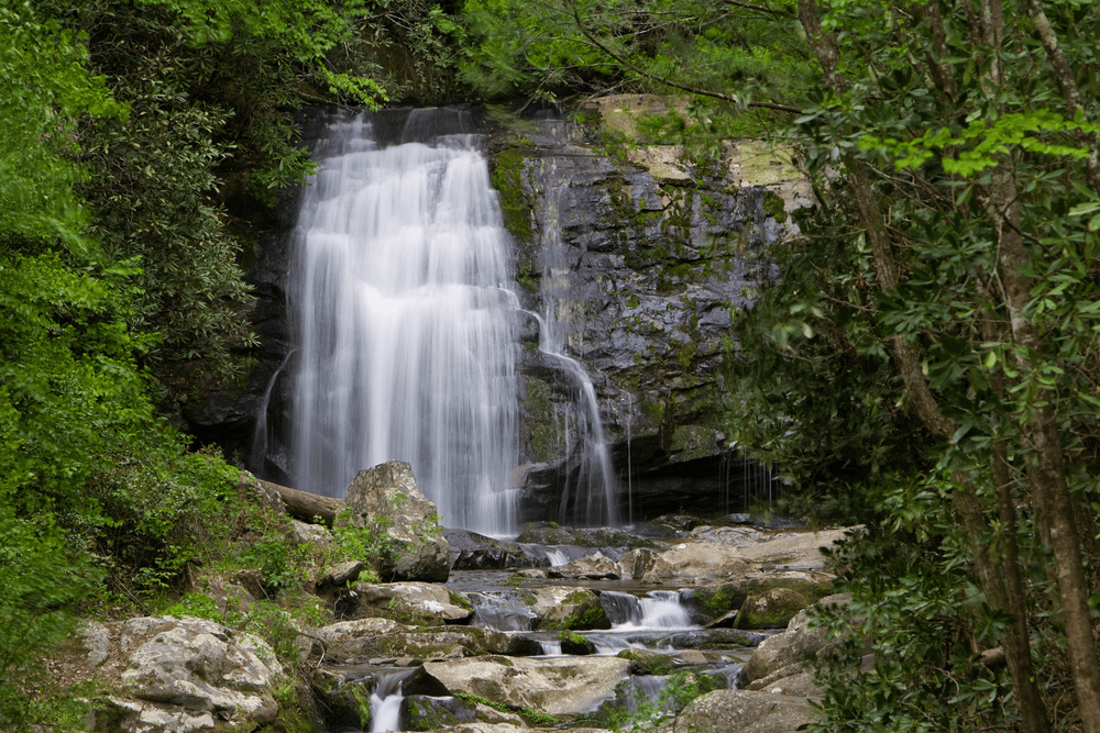 Wilderness Smoky Mountain Waterfalls