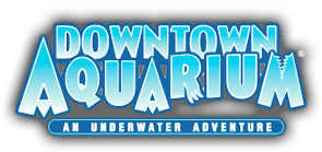 Volunteer Experience

