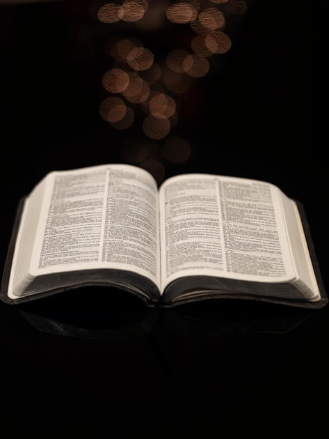 FL Bible Bowl News Updates