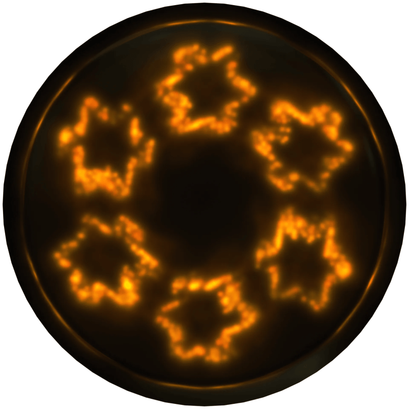 Ear Candy Technologies Twizzlay Pluginsmasters - Minimal Textures - Premium Ultra HD Collection