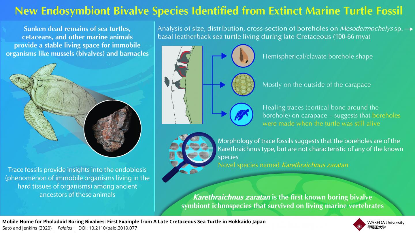 Which Of The Following Is Not A Characteristic Of All Living Things - Life In A Nutshell New Species Found In The Eurekalert