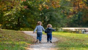 Link to Fall Math