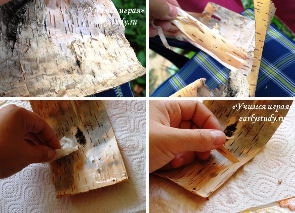 как рисовать на бересте