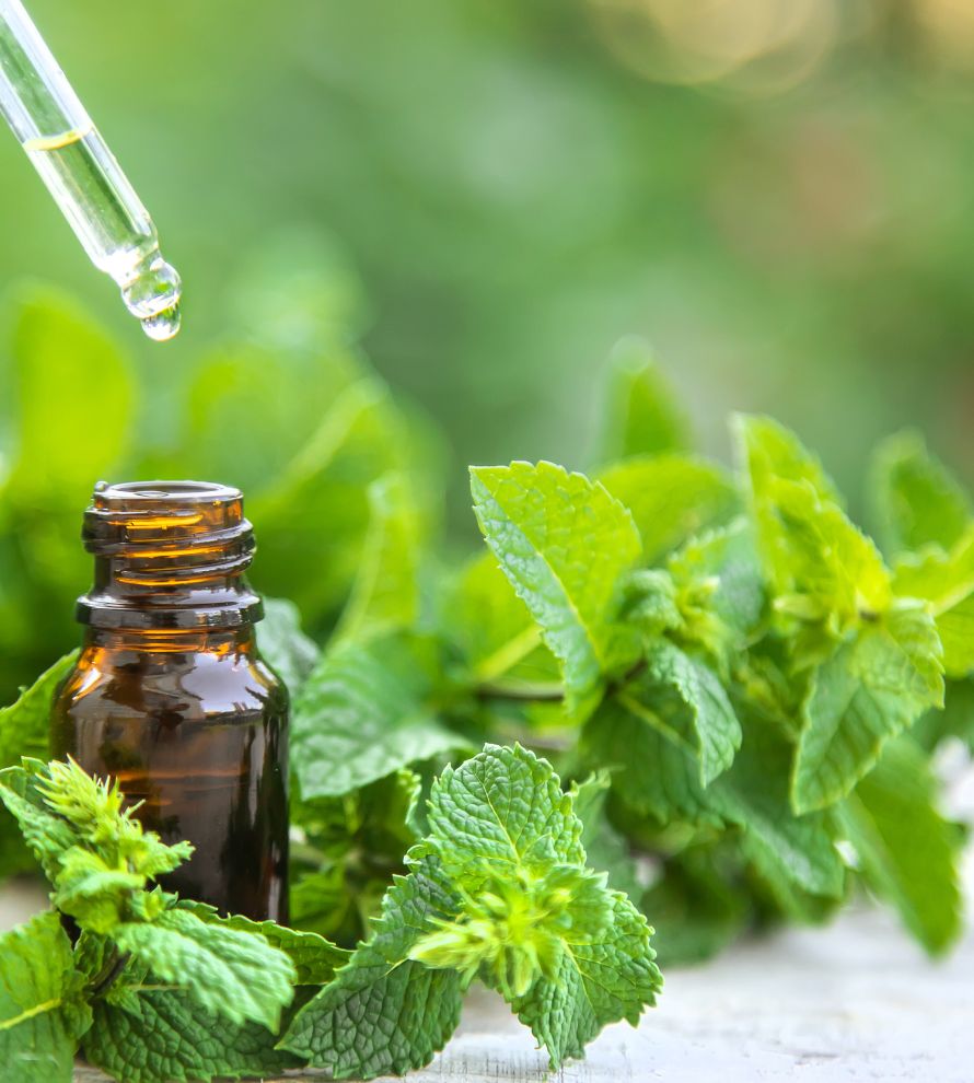 peppermint oil