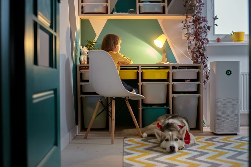 enfant et animal de compagnie dans une salle blanche avec purificateur d'air