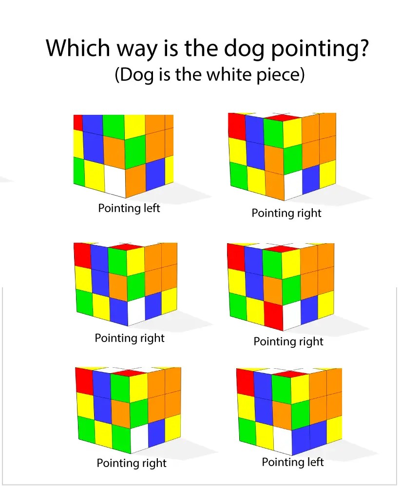 Step 3 find the lost dogs easiest solve easiest way to solve a