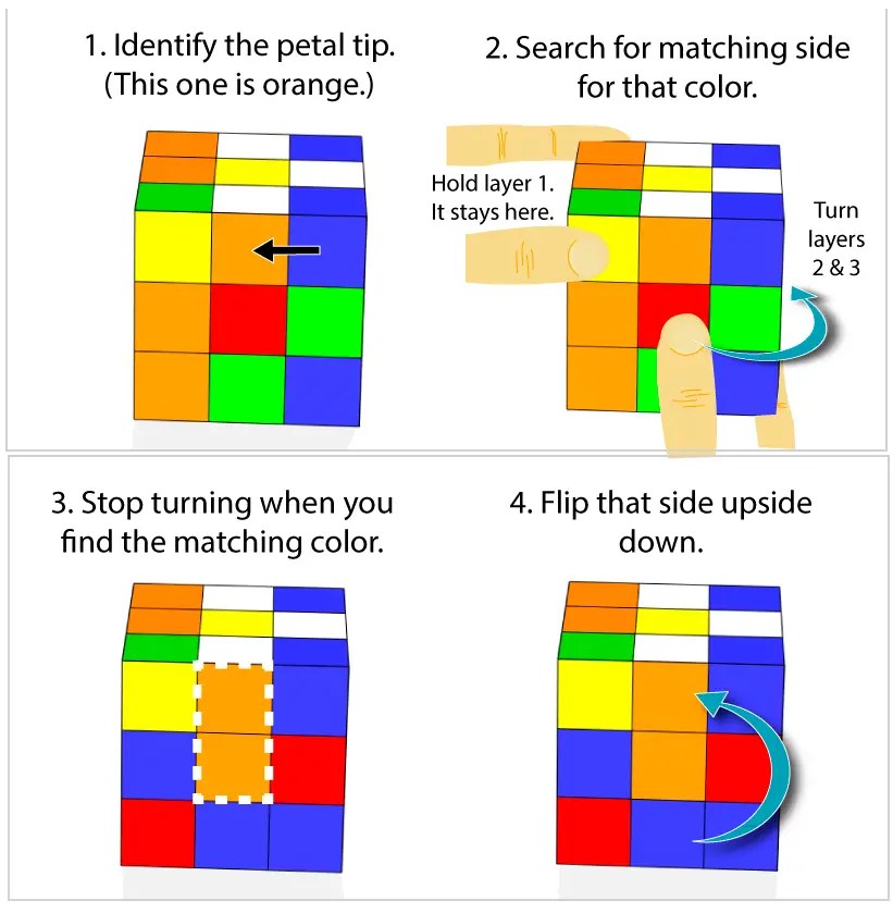 Step 2 – The White Plus – Easiest Solve – Easiest Way to Solve a Rubik ...