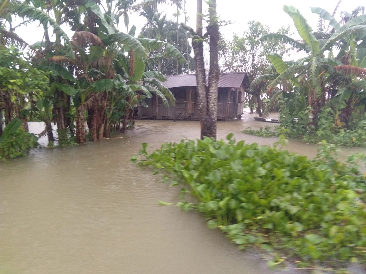 Assam's flood situation improves as affected people, districts decrease