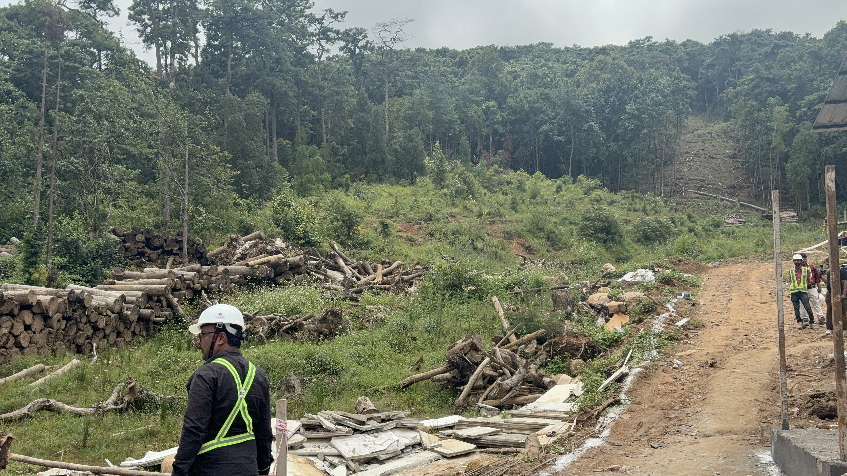 545 trees felled for Shillong Peak Ropeway; water sources safe: Govt