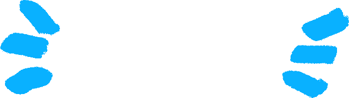 New-Web Image-Text