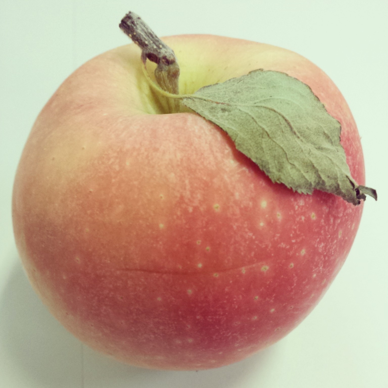 Honeycrisp