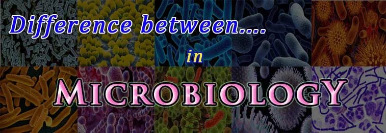 Difference between… (Microbiology) | easybiologyclass Difference between… (Microbiology) | easybiologyclass