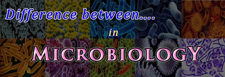 Difference between… (Microbiology) | easybiologyclass