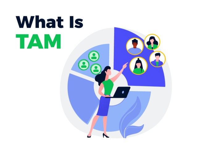 TAM SAM SOM: What Do They Mean How Do You Calculate Them?, 57% OFF What is tam in finance