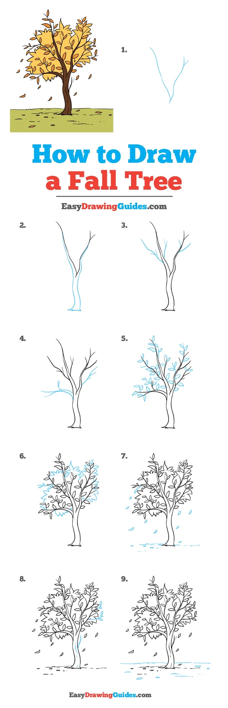 5 Types Of Trees To Draw Step By Step Nupurspeaks
