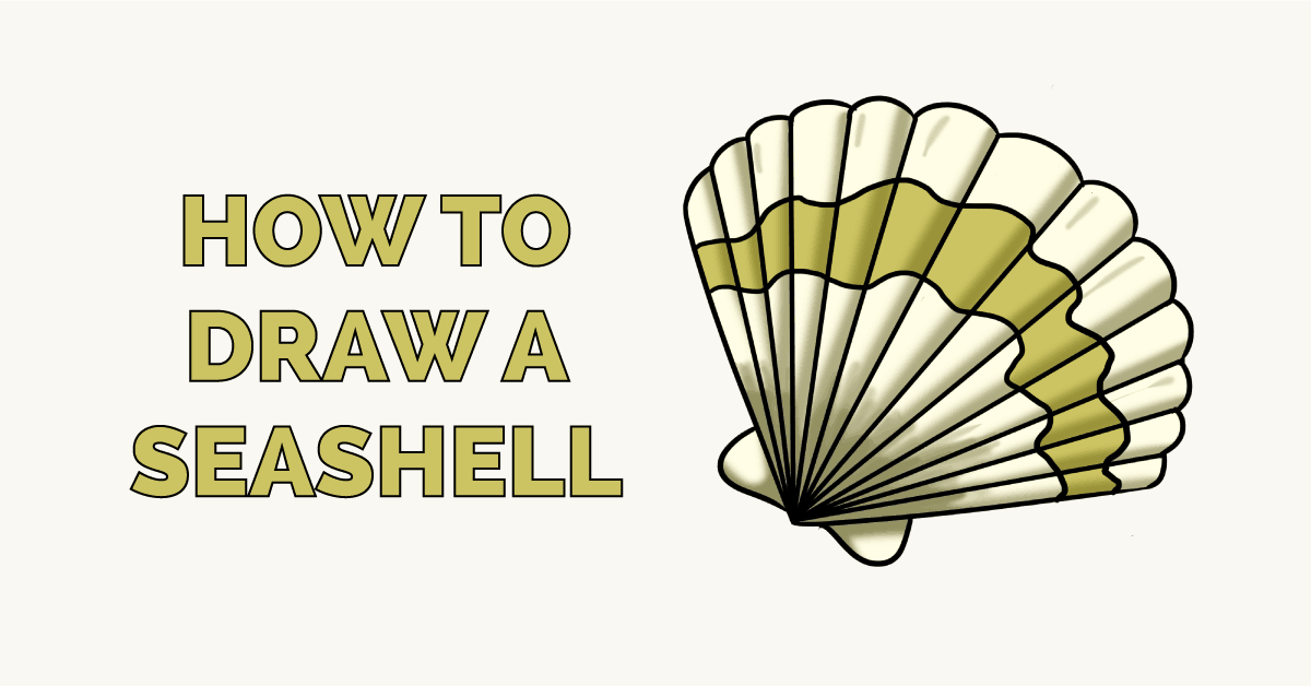 Trying to learn to draw is much more fun when you have a fun & easy lesson to reference. How To Draw A Seashell Really Easy Drawing Tutorial