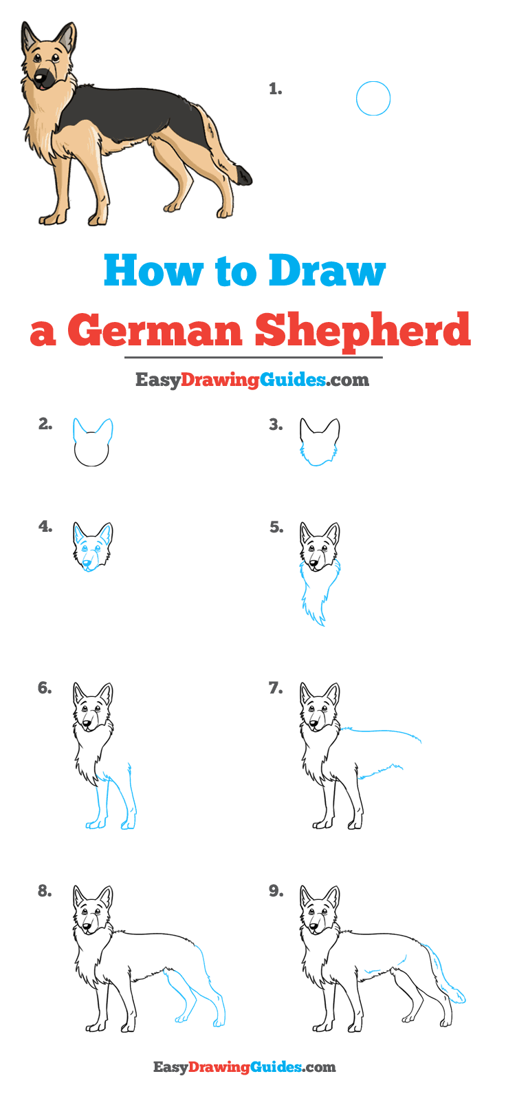 pics Easy Dog Drawing German Shepherd how to draw a german shepherd dog