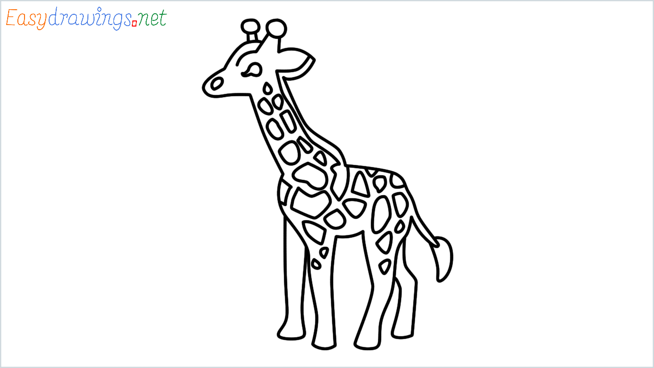 Step By Step How To Draw A Giraffe