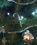 Hanging on Amber's Tree