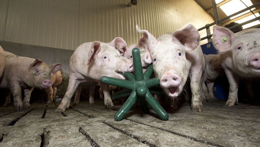 Easyfix Luna 142 - Amazing Vintage Picture - Mobile