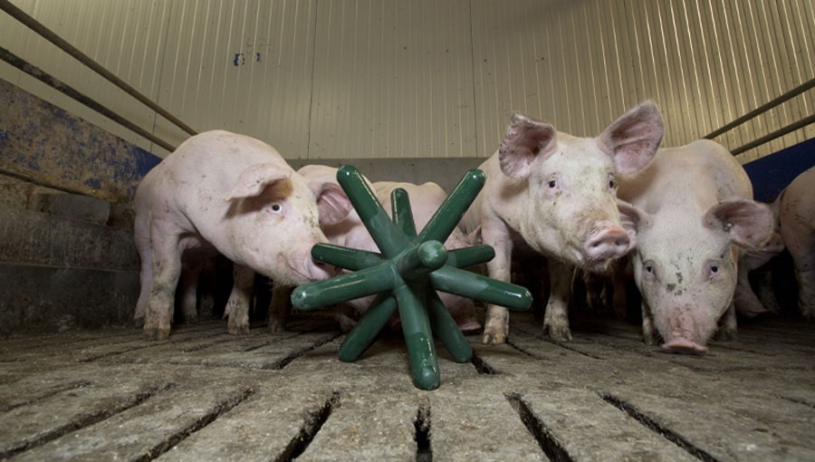 Easyfix Luna 142 - City Image Collection - Ultra HD Quality