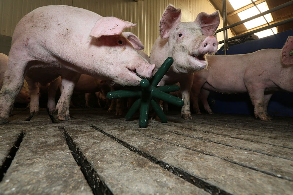 Easyfix Luna 142 - Vintage Patterns - Modern Ultra HD Collection