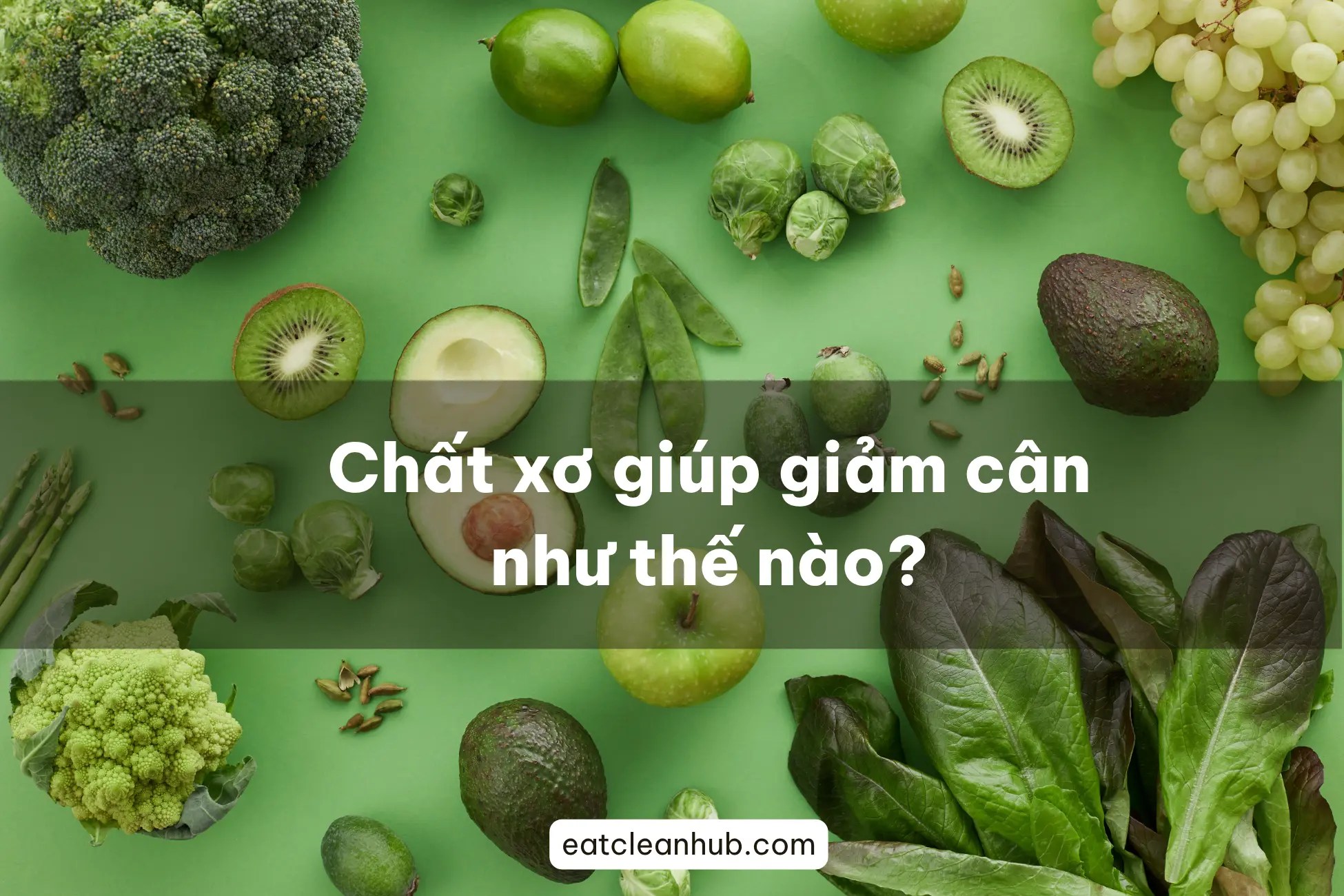 chất xơ giảm cân