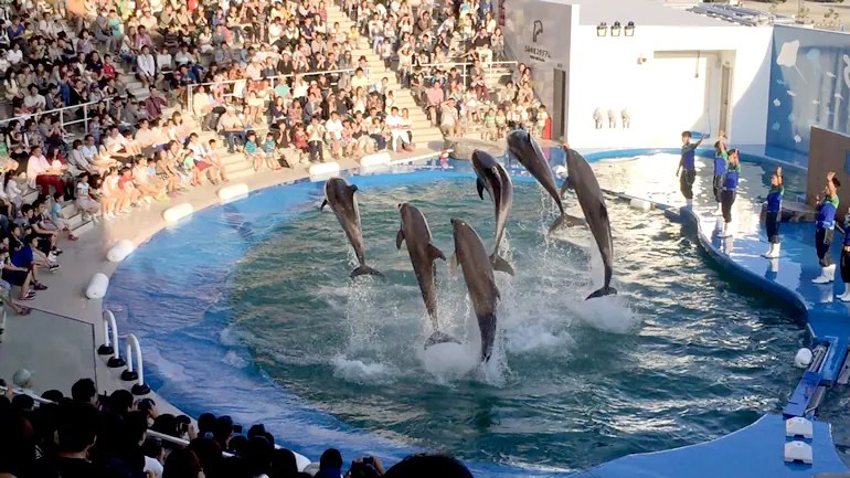 7/20〜8/23に『うみの杜水族館』に来館するには注意が必要です