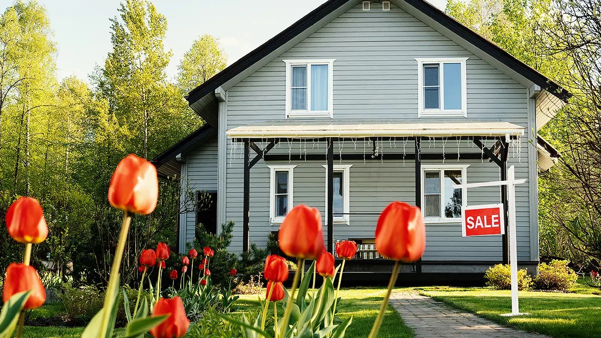 Canada's Spring Housing Market. Gray house for sale with red tulips out front