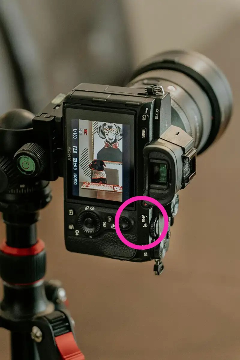 Back Button Focus Tutorial Photography And Friends - Download Creative Dark Pattern | Desktop