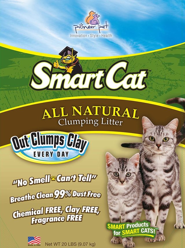 Best clumping cat litter for single and multiple cats: unscented, dust free