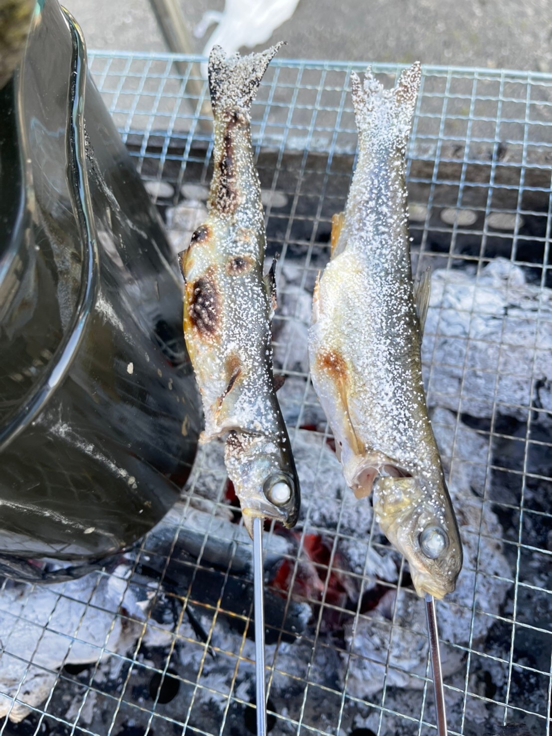 ２０２１支笏湖キャンプ_渓流魚焼き