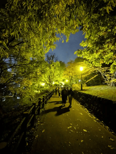 中島公園紅葉ライトアップ写真その3